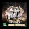 Los Temibles de Chihuahua - Morirme En La Cantina [Video Oficial]