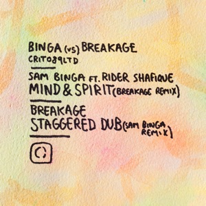 Binga Vs Breakage - Single