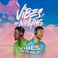 Vibes or Nothing - EP - Vibes Republik