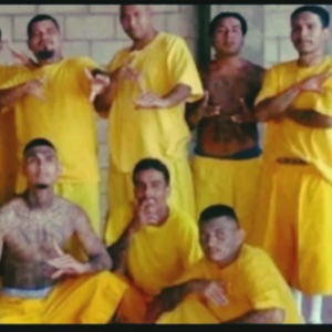 Familia Dc8 _3 - Single