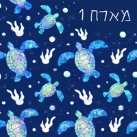 מארח 1 - EP - Amir Aviram