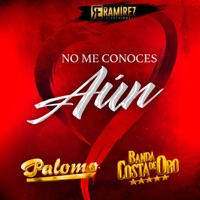 No Me Conoces Aún - Single - Banda Costa De Oro & Palomo