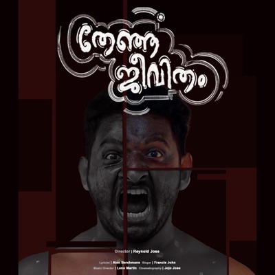 Thenja Jeevitham (feat. Francis John) - Single
