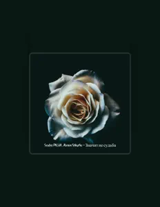 收听 Alexei Shkurko、观看音乐视频、阅读小传、查看巡演日期等 ！