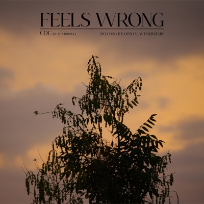 Feels Wrong - Single