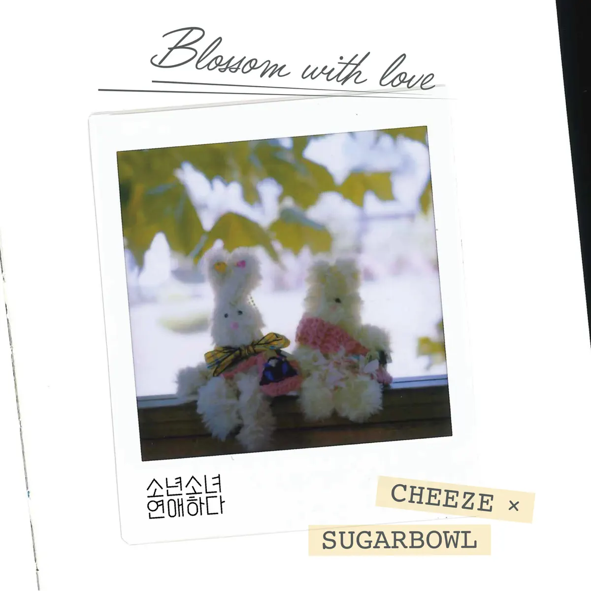 Cheeze - I wanna know (From Blossom with Love), Pt. 2 (Original Soundtrack) - Single (2023) [iTunes Plus AAC M4A] ​​​-新房子