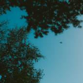 Hymn for the Weekend (feat. Jemma Johnson)