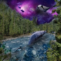 Dreams - Single - Heuse