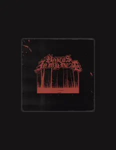 收听 JANIS、观看音乐视频、阅读小传、查看巡演日期等 ！