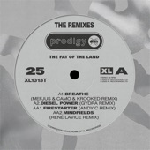 The Fat of the Land 25th Anniversary - Remixes - EP artwork