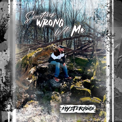 Something Wrong With Me - Single