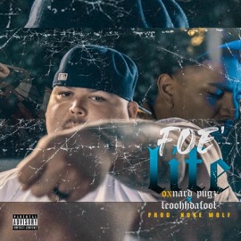 Foe Life (feat. LeoohhDaFool) Oxnard Pugz