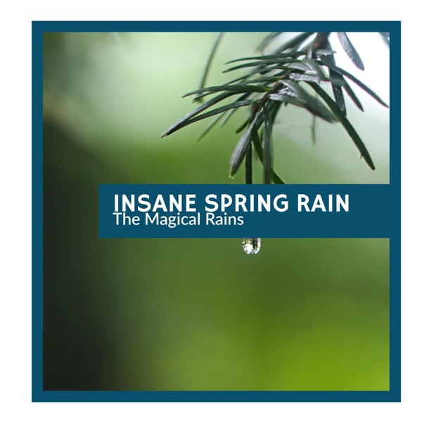 Insane Spring Rain - The Magical Rains