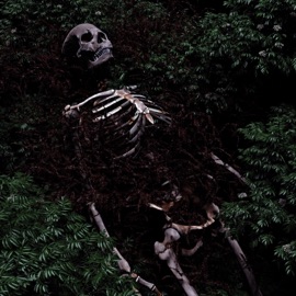 Asylum's Graveyard DIMECORE