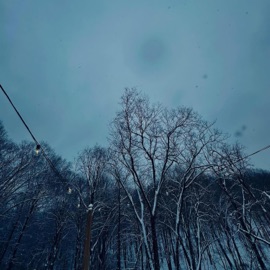 Cave¡n* Wheres Leaf¿