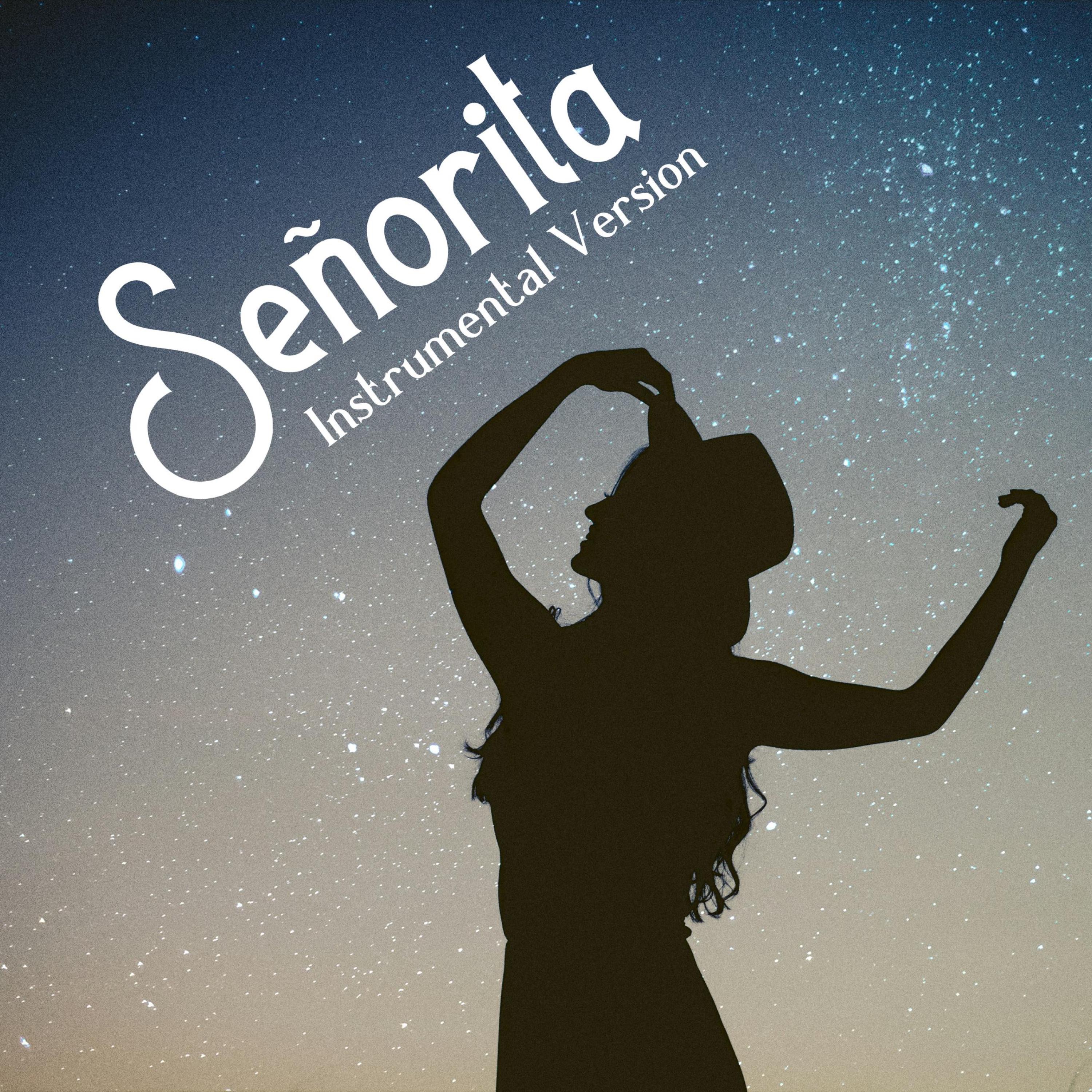 Señorita (Instrumental Version) - Single