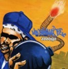 PLAYER'S DELIGHT (ZBR-5000 MIX) [feat.TWIGY & DEV-LARGE] cover art