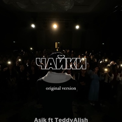 Чайки (feat. TEDDYALISH) - Single