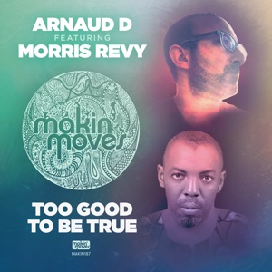 Too Good to Be True (feat. Morris Revy) - EP