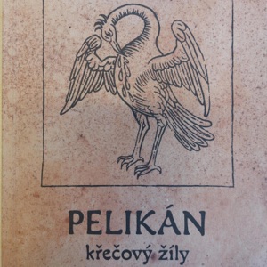 Křečový žíly