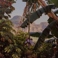 To the Park - Single - Cook&Jango