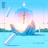 'til the End artwork