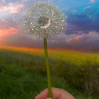 SuperGlue - Single - TerryTheAlchemist