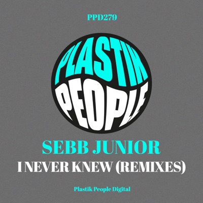 I Never Knew (Remixes) - Single