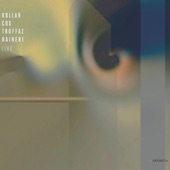 Kollar / Cox / Truffaz / Raineri Live artwork