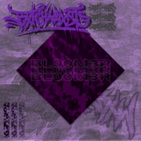 Bl00m3r - Single - Bxtchwrxsts