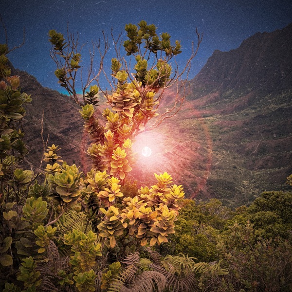 Staring Light Vault - Single