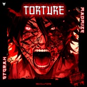 Torture (Extended Mix) artwork