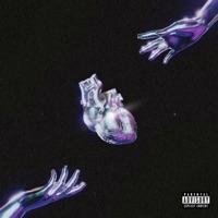 STUSSY - Single - Arce SDL