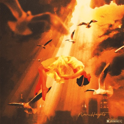 New Heights - Single