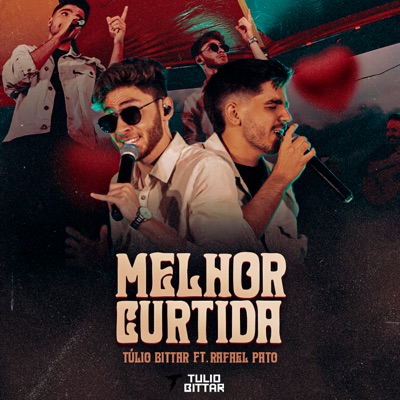 Melhor Curtida - Single