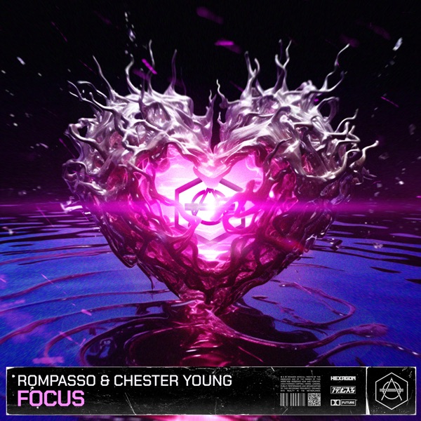 Focus - Single