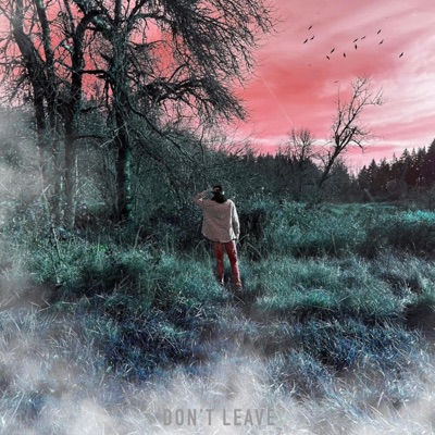 Don't Leave (feat. Lil X) - Single