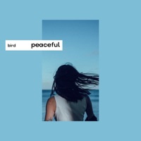 peaceful - Single - bird