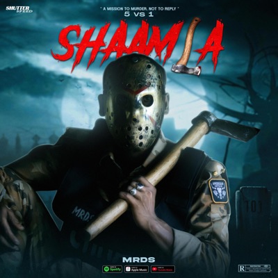 SHAAMLA (feat. MRDS) - Single