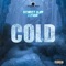 COLD (feat. Fugie) - Street Djm lyrics