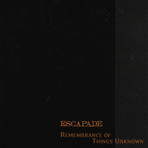 Remembrance of Things Unknown