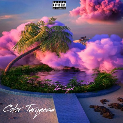 Color Turquesa - Single