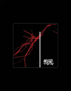 收听 Welcome Strawberry、观看音乐视频、阅读小传、查看巡演日期等 ！