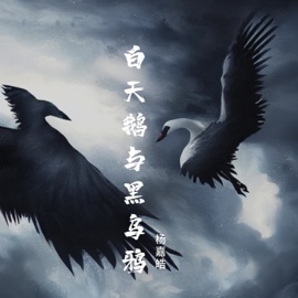 白天鹅与黑乌鸦 杨嘉皓