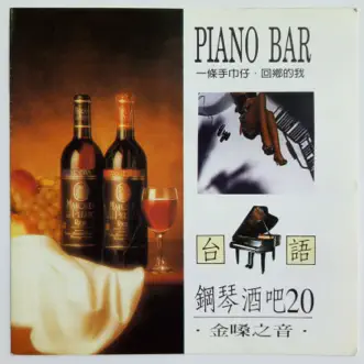 台语钢琴酒吧 Vol.20 by Chen Ying Git album reviews, ratings, credits