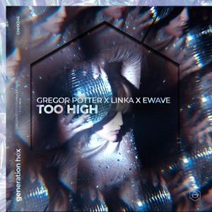 Too High - Single