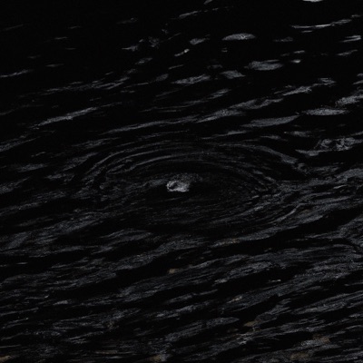 Seek&Destroy (feat. Arcadia Light) - Single