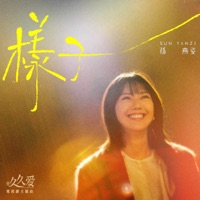 樣子 (電視劇《要久久愛》主題曲) - Single - Yanzi Sun