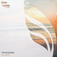 Sea Shells - Single - The Blizzard