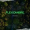 Cocomelon - Flexombre lyrics